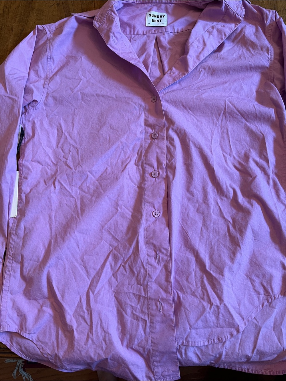 Aritzia Sunday Best - Future Button Up